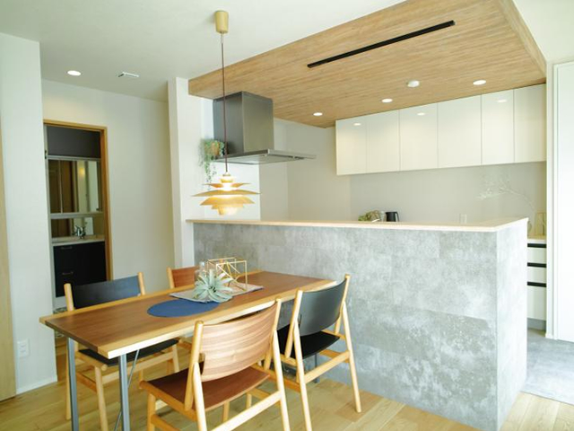 VILLA HOUSE